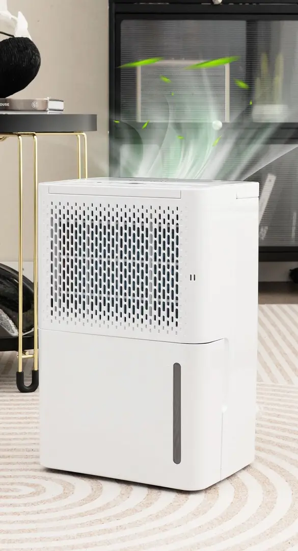 Осушитель воздуха Costway ES10396DE-WH (White)