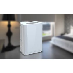 Осушитель воздуха Crown CDH-10LBW (White) Thumb