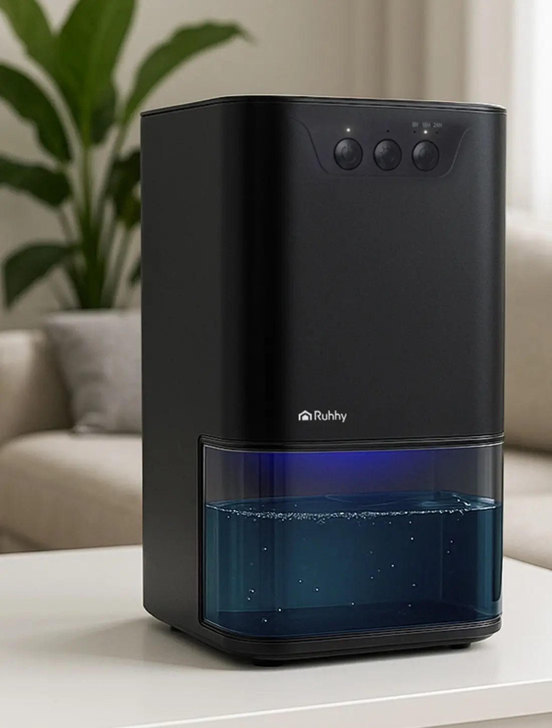 Dezumidificator Ruhhy 26494 (Black)