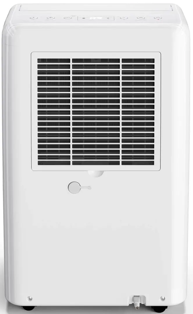 Dezumidificator de aer Sharp UD-P20E-W (White) - 4