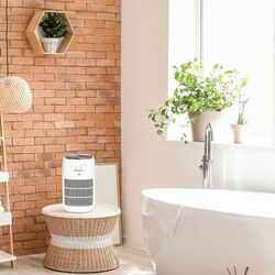 Осушитель воздуха Webber Vaud DEQ10 (White) Thumb