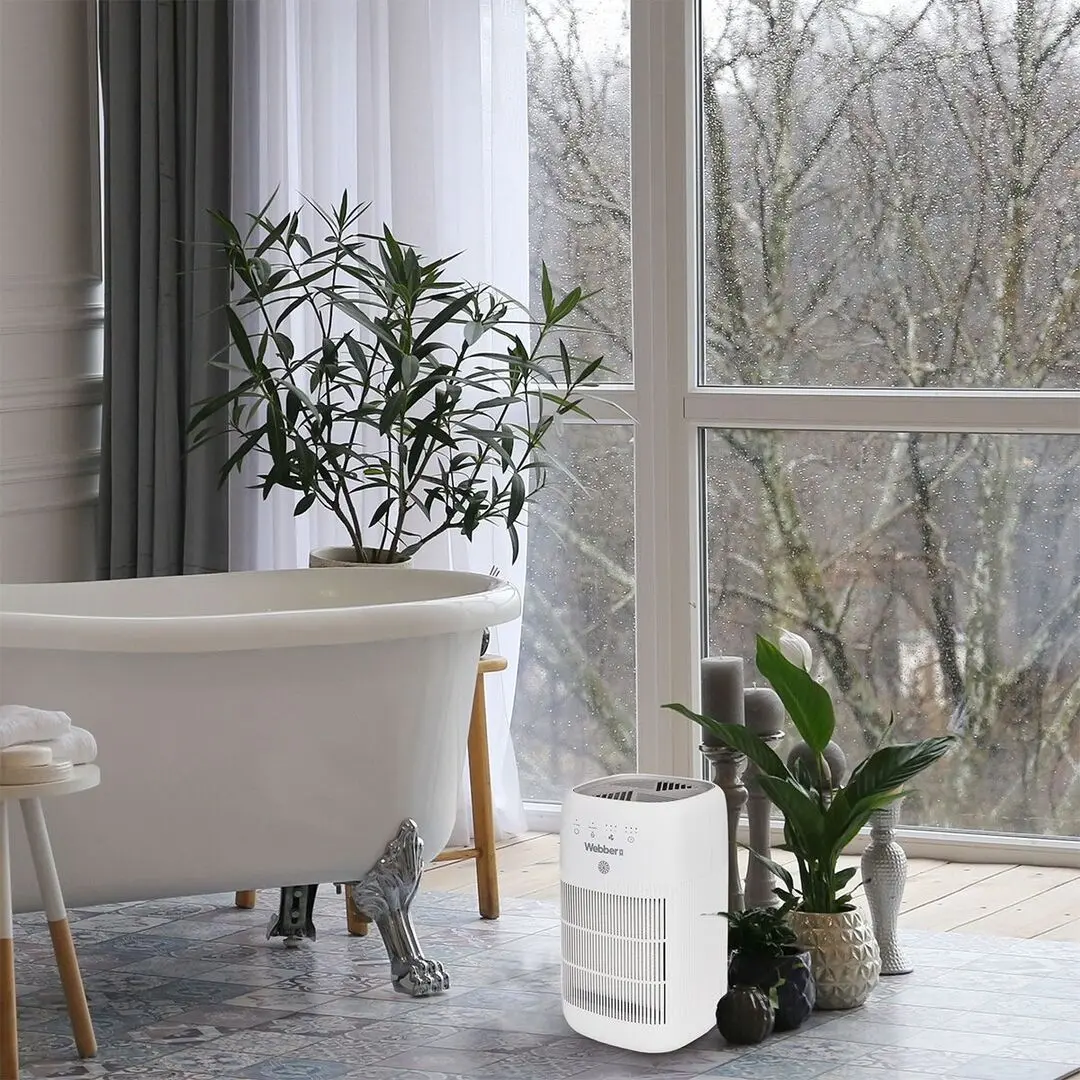 Осушитель воздуха Webber Vaud DEQ10 (White)