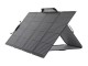 Panou solar EcoFlow 220W (Black)