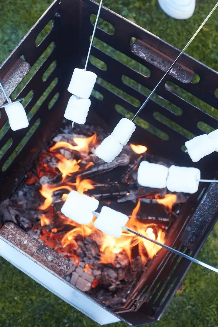 Корзина для костра Barbecook Jill (Rust) - 4