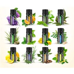 Set umidificator și difuzor de aroma + ulei Anjou ADA003 (White) Thumb