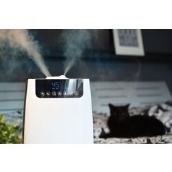 Увлажнитель воздуха Blaupunkt AHS802 (White) Thumb