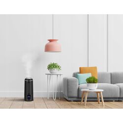 Увлажнитель воздуха Malatec NP11029 (Black) Thumb