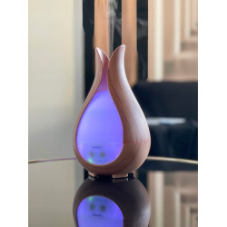 Увлажнитель воздуха 3в1 Ruhhy 24610 (Beige/Brown) Thumb