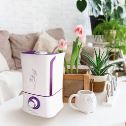 Увлажнитель воздуха Scarlett SC-AH986M04 (White) Thumb