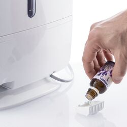 Ультразвуковой очиститель воздуха 3в1 Trotec B 6 E (White) Thumb