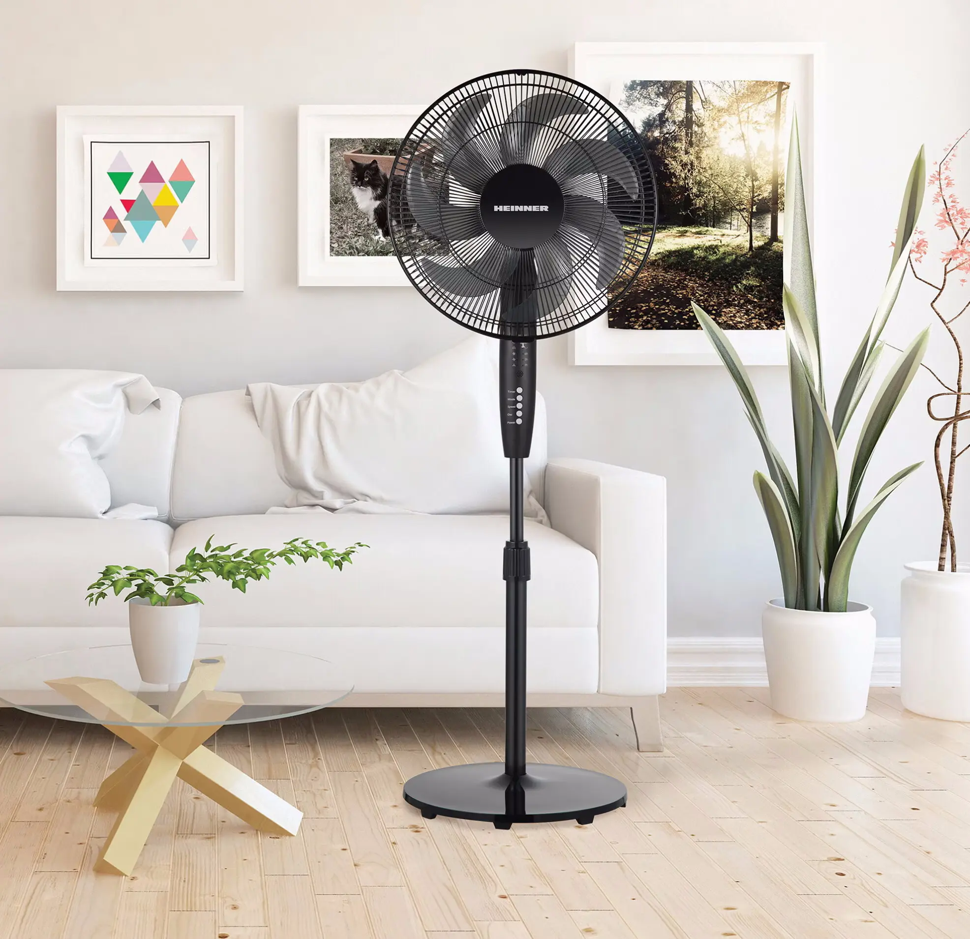 Вентилятор Heinner HSF-M750D-BK (Black) - 4