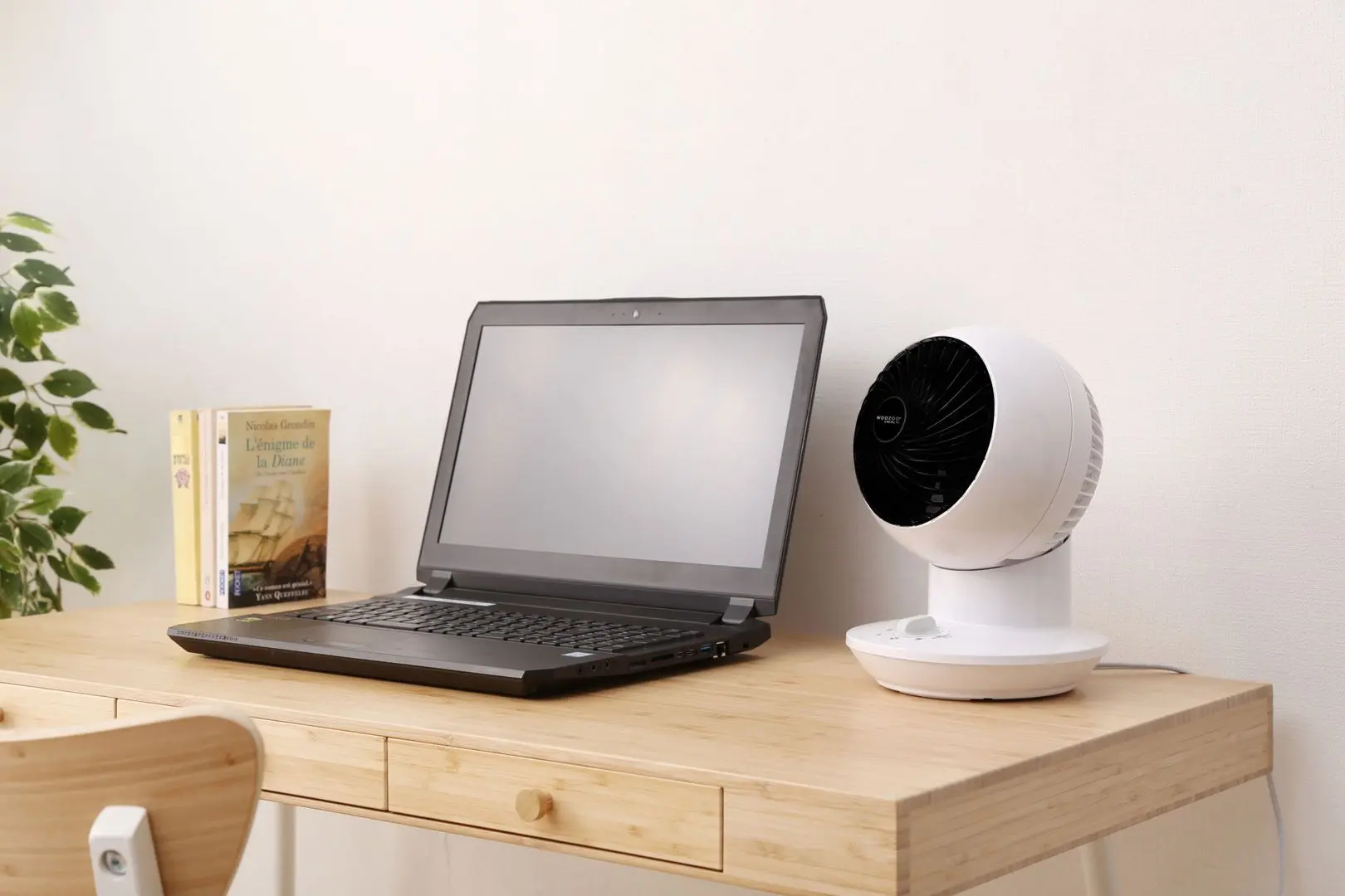 Ventilator Iris Ohyama Woozoo PCF-SM12 Mini (White) - 4
