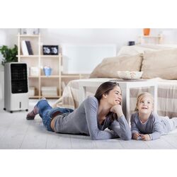 Охладитель воздуха 3в1 Klarstein Townhouse (Light Grey) Thumb