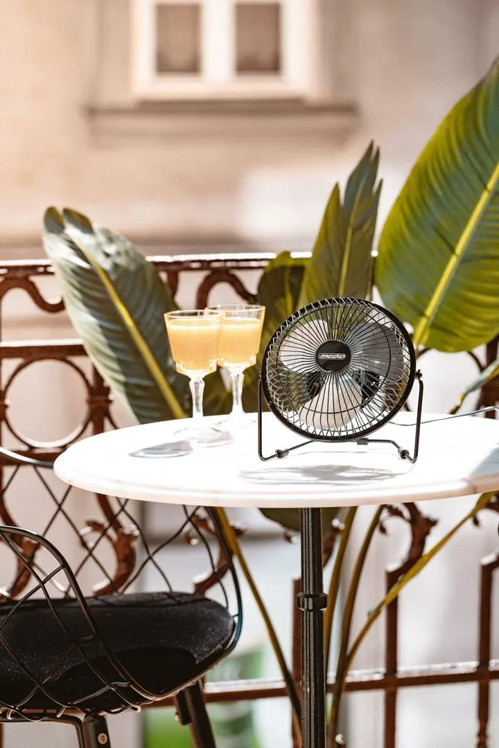 Ventilator de masa Mesko MS 7322 (Black)