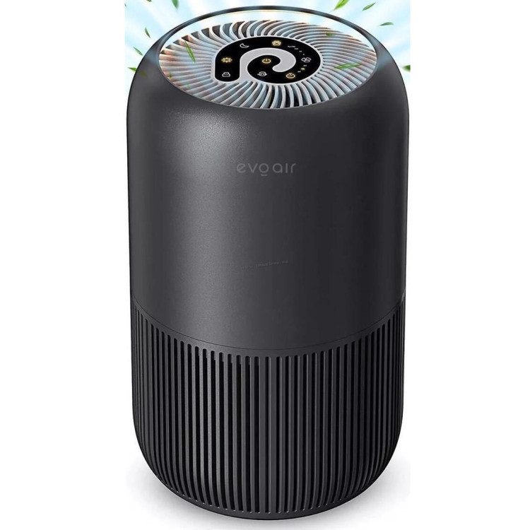 Очиститель воздуха Evoair YuvoSpin (Black)