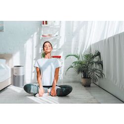 Purificator de aer Hoover HHP30C011 (White/Grey) Thumb