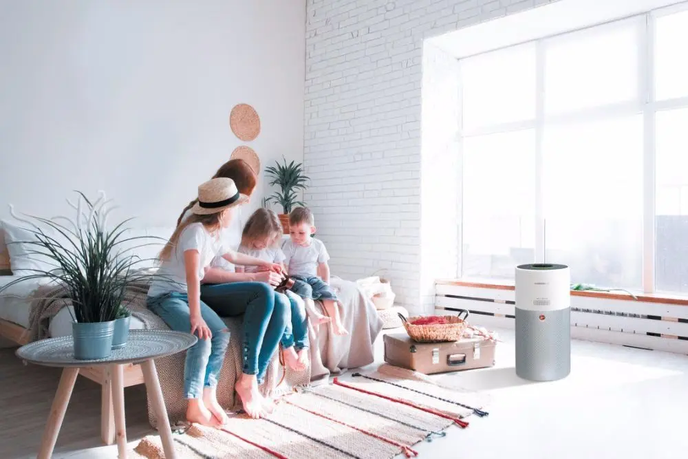 Purificator de aer Hoover HHP50CA011 (White/Grey)