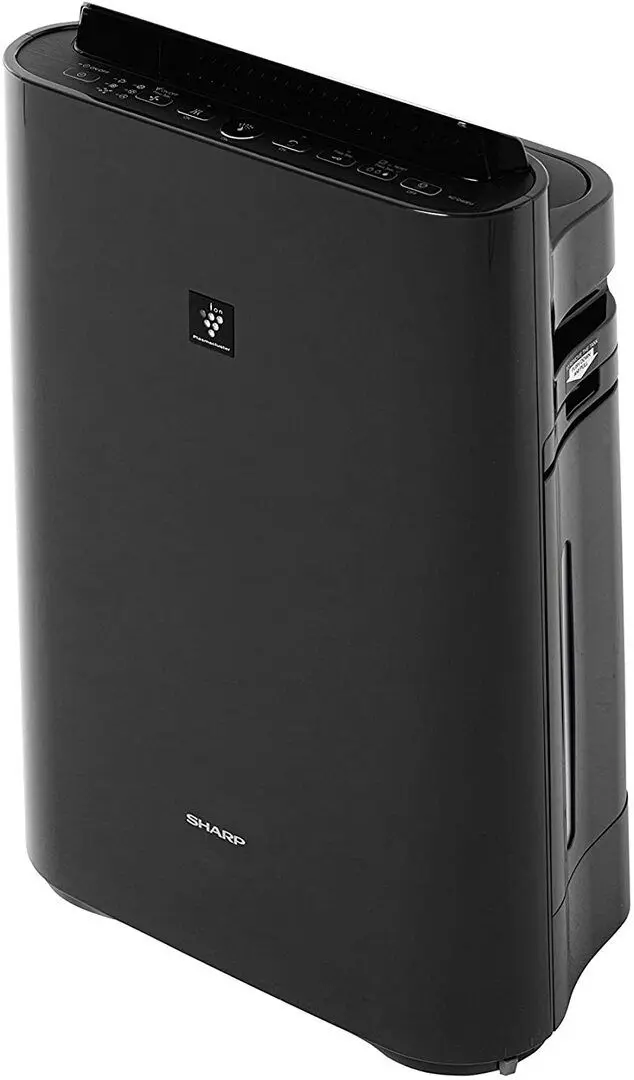 Очиститель воздуха Sharp Home Appliances KC-D40EUB (Black) - 2