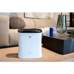 Очиститель воздуха Sharp Home Appliances UA-PE30E-WB (White/Black) Thumb