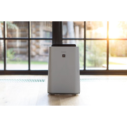 Purificator de aer Sharp UA-HD40E-L (Grey) Thumb