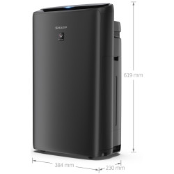 Purificator de aer Sharp UA-KIN42E-H (Black) Thumb
