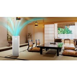 Очиститель воздуха Toshiba CAF X83XPL (White) Thumb