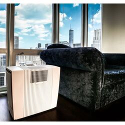 Purificator de aer Venta LW62 (White) Thumb