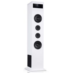 Акустическая система Auna Karaboom 100 10033148 (White)