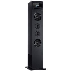 Акустическая система Auna Karaboom 100 Wifi (Black)