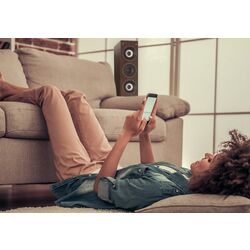 Sistem acustic Auna Line 4707 (Brown/Black) Thumb