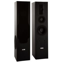 Sistem acustic Auna Line E 1005 (Black)