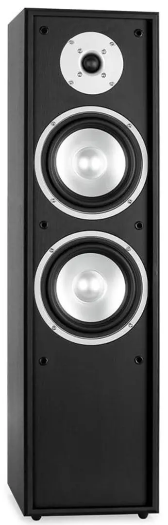 Акустическая система Auna Linie-300-BK (Black) - 5