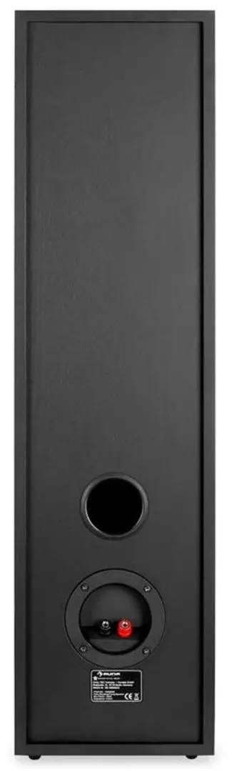Акустическая система Auna Linie-300-BK (Black) - 6