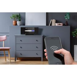 Акустическая система Auna V-20 DAB (Black) Thumb