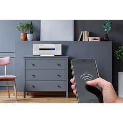 Акустическая система Auna V-20 DAB (Silver) Thumb