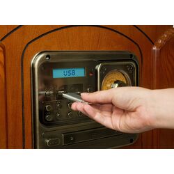 Музыкальный автомат Auna Musicbox 10032730 (Wooden) Thumb