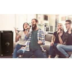 Портативная акустическая PA-система Auna Moving 120 (Black) Thumb