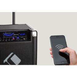 Портативная акустическая PA-система Auna Moving 80 (Black) Thumb