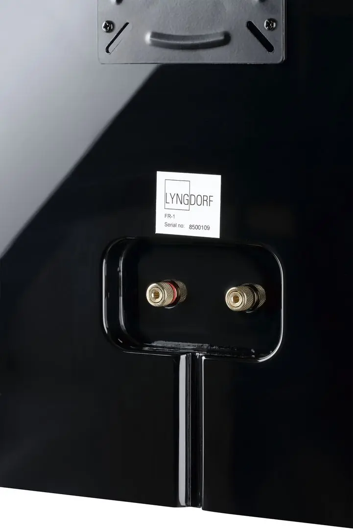 Колонка Lyngdorf FR-1 (High Gloss Black) - 4
