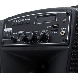 Портативная акустическая система Samus Karaoke 8 (Black) Thumb