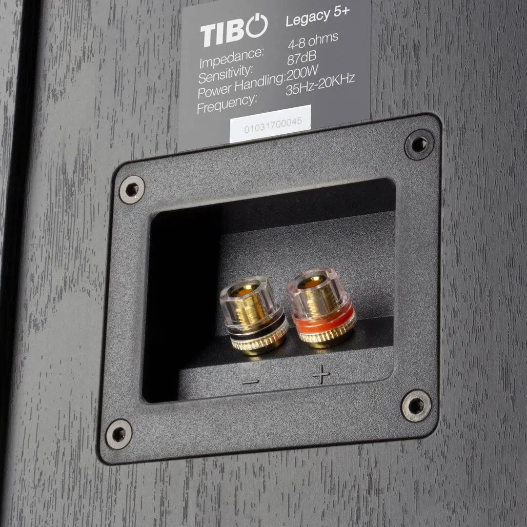 Акустическая система Tibo Legacy 5+ (Black) - 2