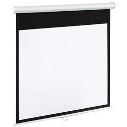 Ecran de proectie Art EM-150 4:3 305x229 (Matte White)