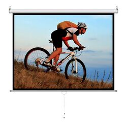 Ecran de proiectie Art ER M100 (White)