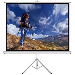 Ecran de proectie Art ER T60 152X152 (White)