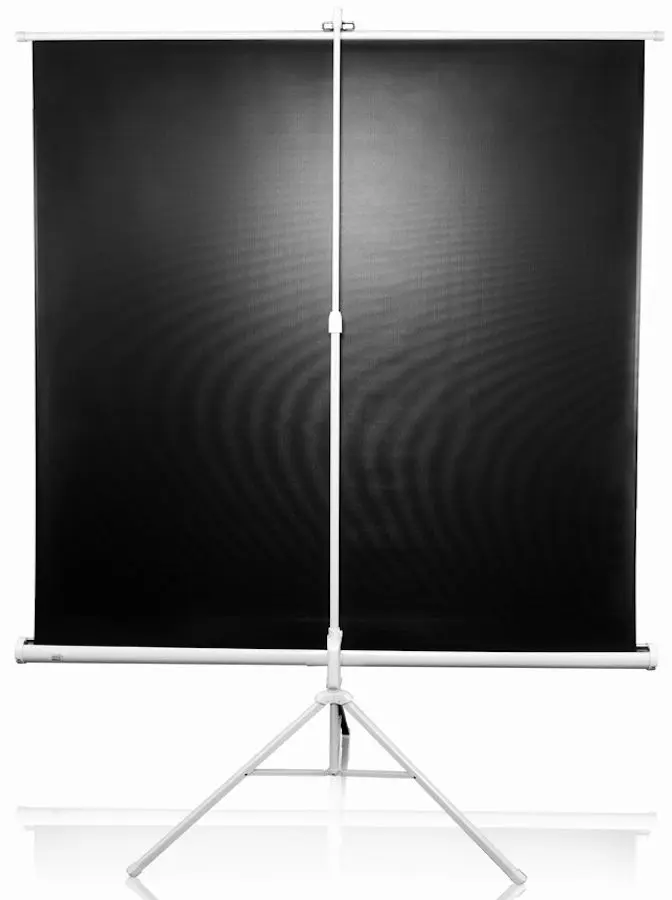 Ecran de proiectie Elite Screens T113NWS1 (White)