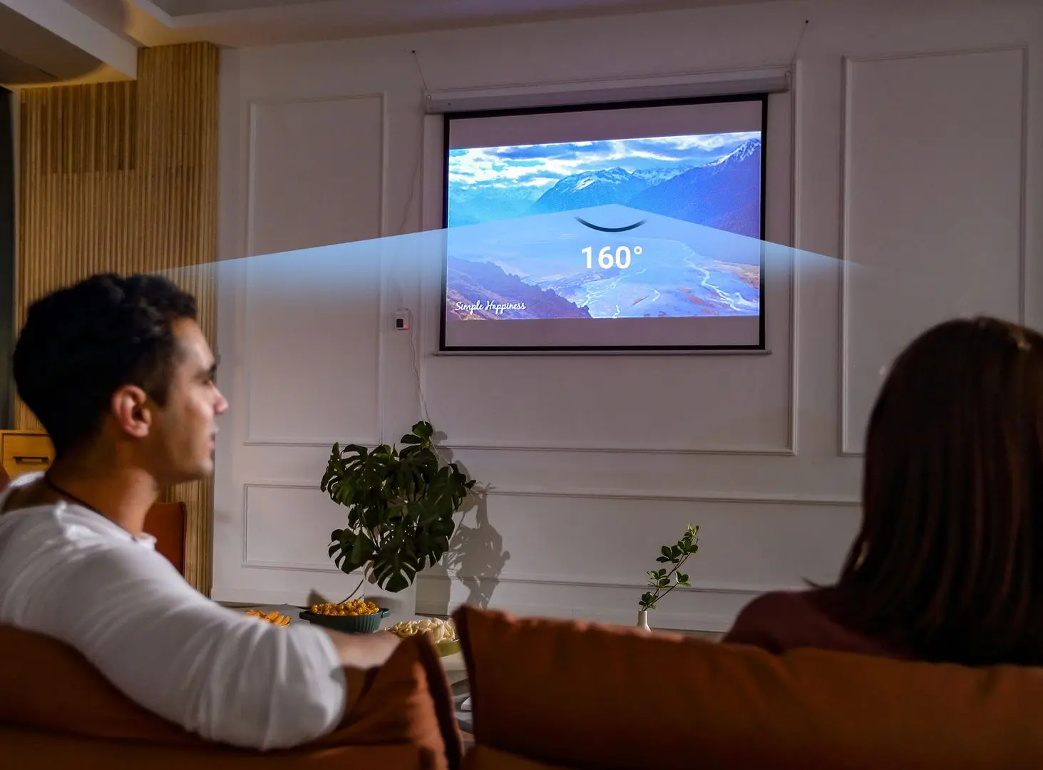 Проекционный экран Homcom 001-004 (White)