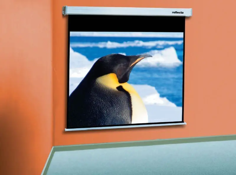 Проекционный экран Reflecta CrystalLine Rollo 200x159 (White)