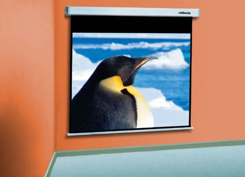 Проекционный экран Reflecta CrystalLine Rollo 240x179 (White)