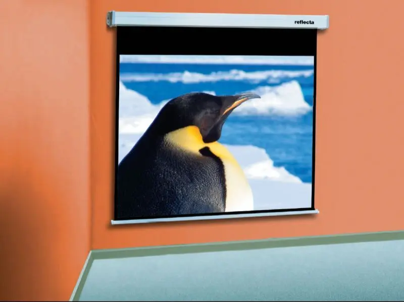 Проекционный экран Reflecta CrystalLine Rollo 240x189 (White)
