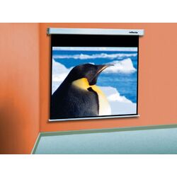 Ecran de proectie Reflecta CrystalLine Rollo 240x240 (White) Thumb